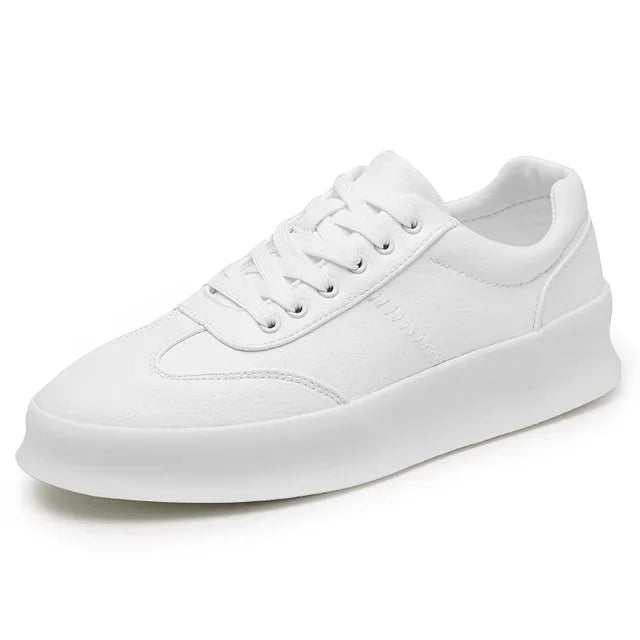 product_55394052440349.webp
