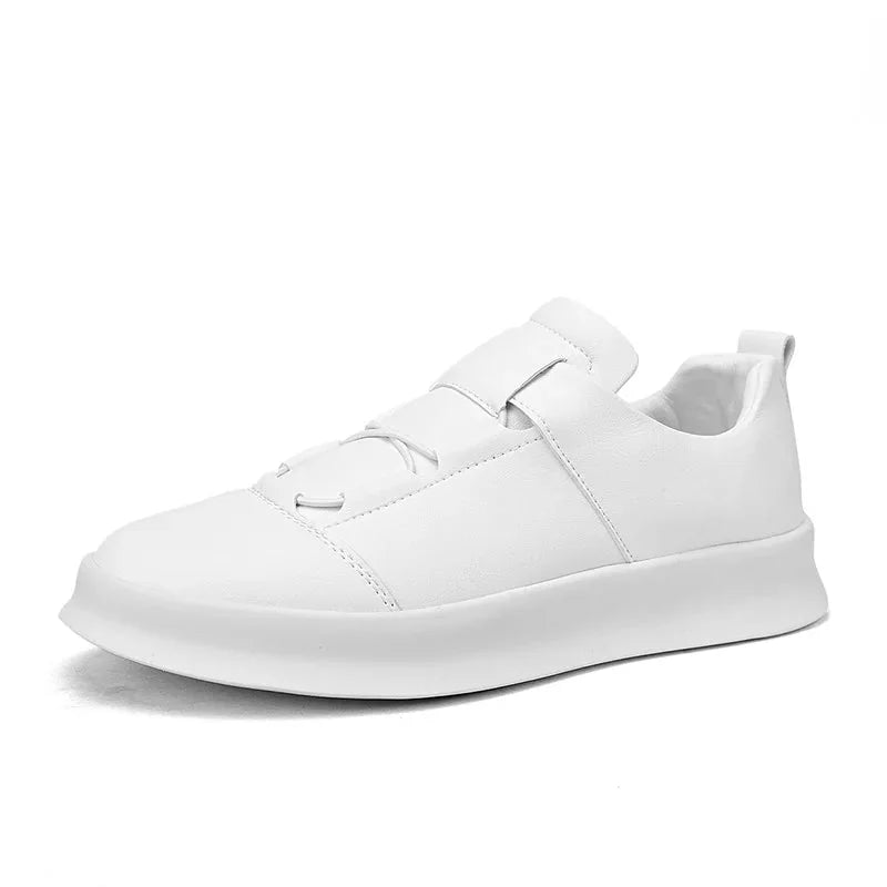 product_55394105622813.webp